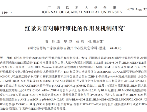 紅景天苷對肺纖維化的作用及機制研究